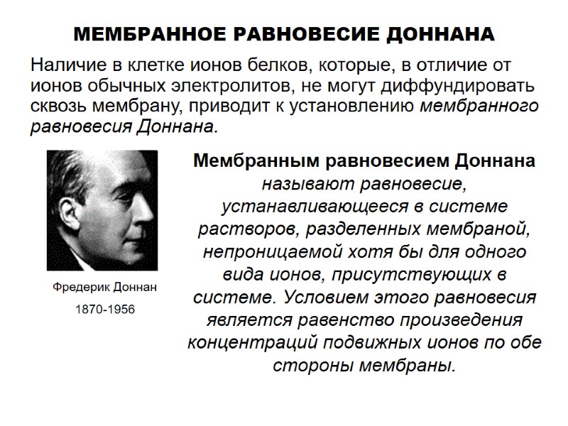 МЕМБРАННОЕ РАВНОВЕСИЕ ДОННАНА Наличие в клетке ионов белков, которые, в отличие от ионов обычных МЕМБРАННОЕ РАВНОВЕСИЕ ДОННАНА Наличие в клетке ионов белков, которые, в отличие от ионов обычных